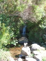 Wanderung Levada do Paul
