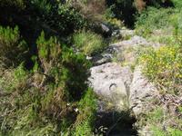 Wanderung Levada do Paul