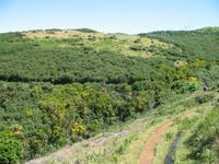 Wanderung Levada do Paul
