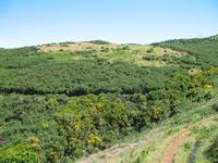 Wanderung Levada do Paul