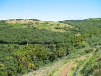 Wanderung Levada do Paul