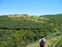 Wanderung Levada do Paul