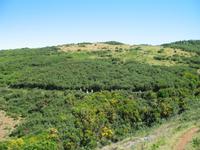 Wanderung Levada do Paul
