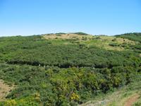 Wanderung Levada do Paul