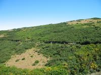 Wanderung Levada do Paul