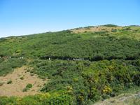Wanderung Levada do Paul