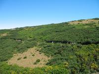 Wanderung Levada do Paul
