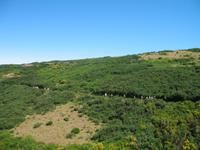 Wanderung Levada do Paul