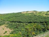 Wanderung Levada do Paul