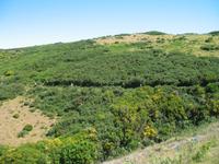 Wanderung Levada do Paul