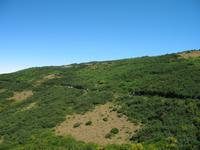Wanderung Levada do Paul