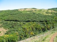 Wanderung Levada do Paul