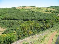 Wanderung Levada do Paul