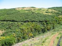 Wanderung Levada do Paul