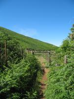 Wanderung Levada do Paul