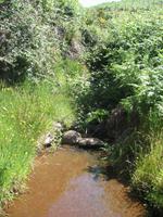 Wanderung Levada do Paul