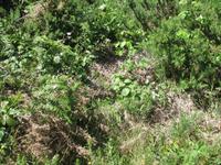 Wanderung Levada do Paul