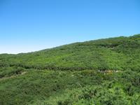 Wanderung Levada do Paul