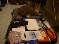 Madeira, Empfang zu Hause