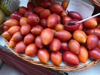 Madeira, Funchal, Markthalle, Baumtomaten