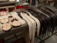 Madeira, Funchal, Markthalle, Degenfisch Espada