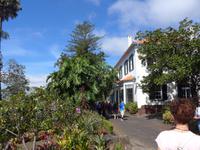 Madeira, Funchal, Botanischer Garten