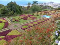 Madeira, Funchal, Botanischer Garten