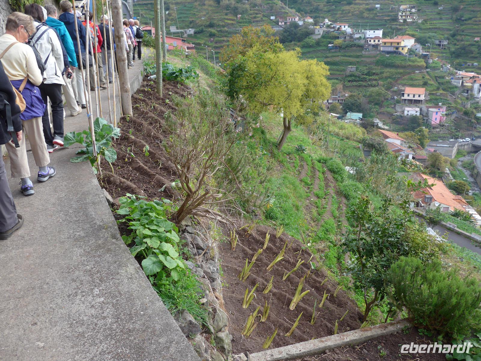 Madeira, Marocos, Levada