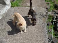Madeira, Marocos, Levada