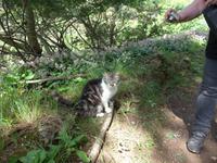 Madeira, Marocos, Levada