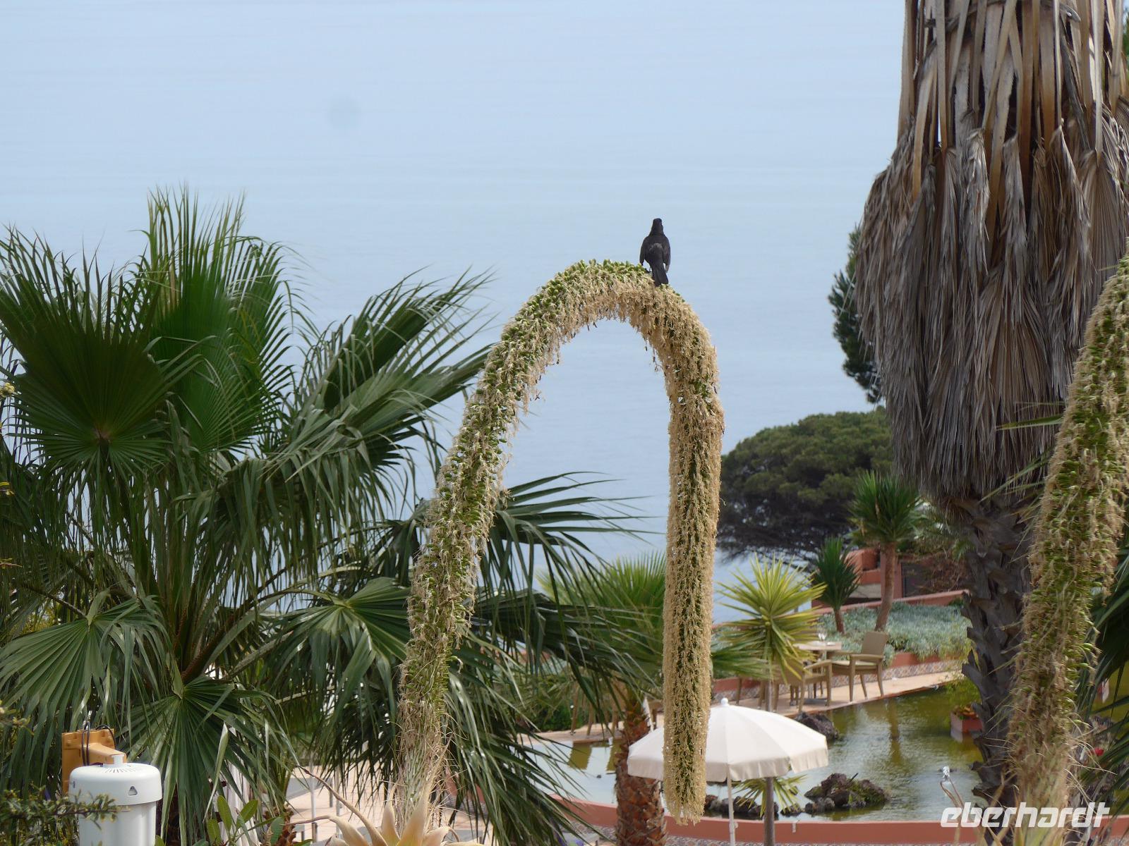 Madeira, Canico, Qinta Splendida