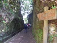 Madeira, Ribeiro Frio, Wanderung Balcoes