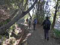 Madeira, Levada da Serra do Faial