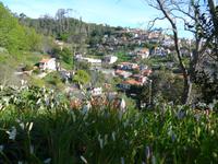 Madeira, Levada da Serra do Faial
