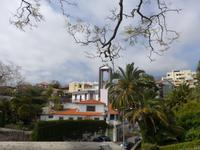 Madeira, Funchal, Garten bei Maria Joo