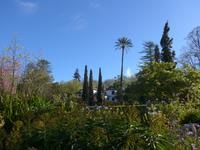 Madeira, Funchal, Palheiro Garden