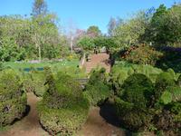 Madeira, Funchal, Palheiro Garden