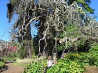 Madeira, Funchal, Palheiro Garden