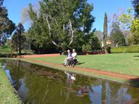 Madeira, Funchal, Palheiro Garden