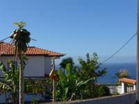 Madeira, Funchal, Papaya