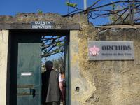 Madeira, Funchal, Quinta da Boa Vista