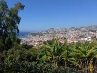 Madeira, Funchal, Blick von der Quinta da Boa Vista, 