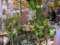 Madeira, Funchal, Quinta da Boa Vista