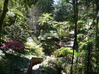 Madeira, Funchal, Tropischer Garten