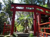 Madeira, Funchal, Tropischer Garten