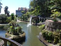 Madeira, Funchal, Tropischer Garten
