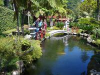 Madeira, Funchal, Tropischer Garten