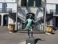 Madeira, Funchal, Tropischer Garten