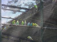 Madeira, Funchal, Tropischer Garten