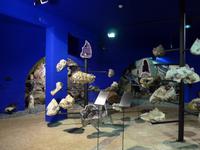 Madeira, Funchal, Tropischer Garten